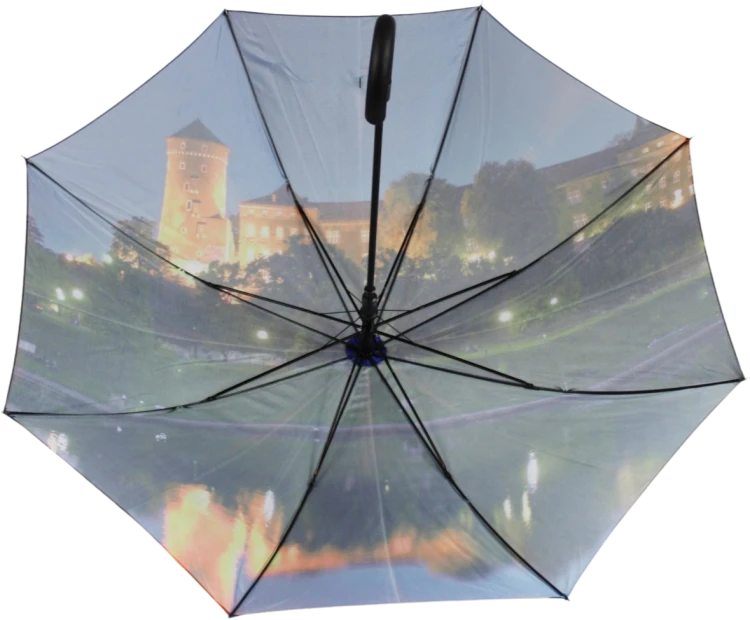Wawel (2).png